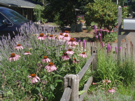 Front yard Vancouver Wa