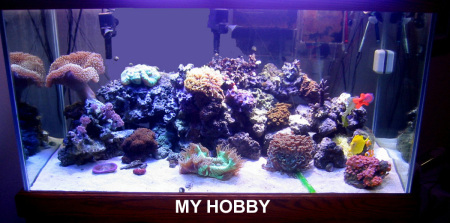 My Hobby