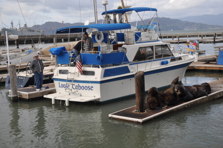 Pier 39 Marina - San Francisco, CA