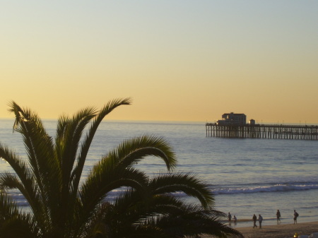 Pier and Palm