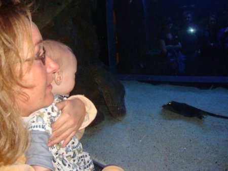 Dallas aquarium with Trent