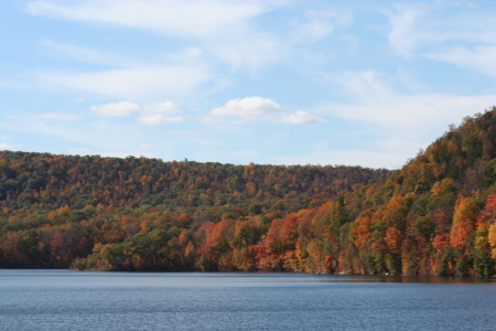 Long Pond  Fall 2008