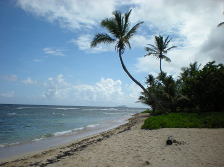 virgin islands