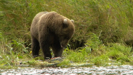 bearclaw lodge 006