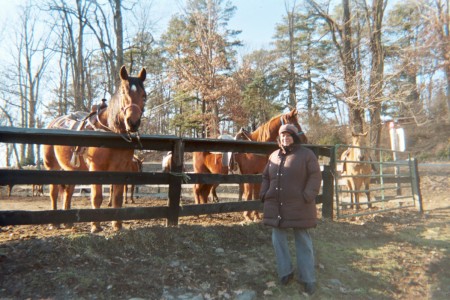 Pinegrove Horse Ranch