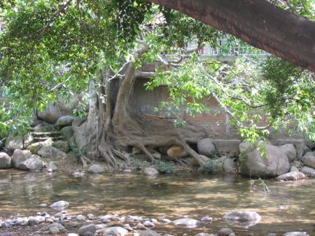 Along the river