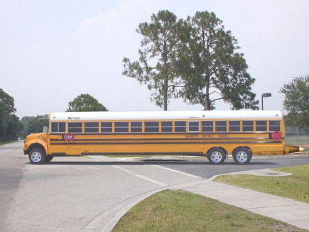 My other Florida Bus