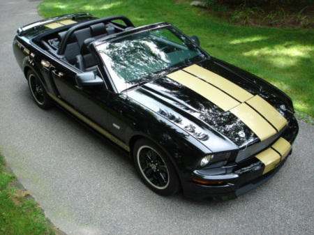 2007 Shelby GTH Convertible Photo 17