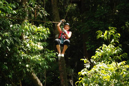 Costa Rica zip line rain forest 2008