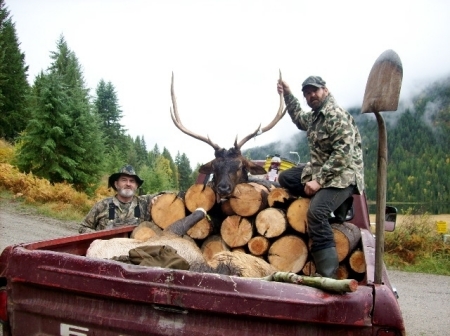 My 4x5 Bull Elk 2008
