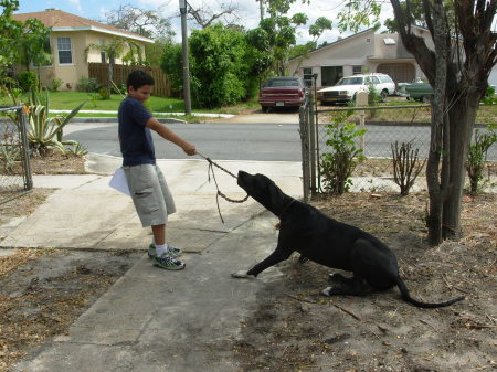 Tug of War