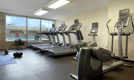 Red Lion - Fitness Room