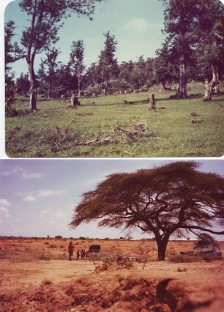 Kenya 1975