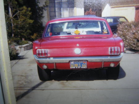 Winks '66 Mustang