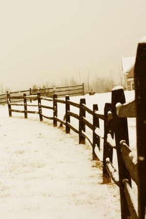 My Front Drive Way in Front of our Home