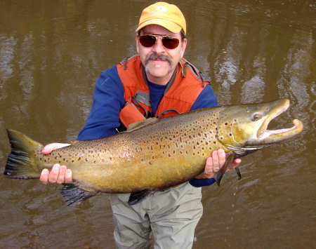 Monster Brown Trout