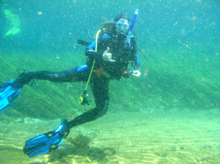 2006 Diving Crystal River, Florida