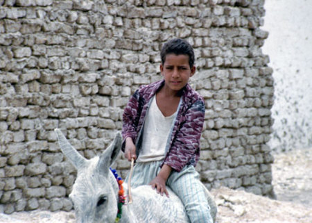 Boy and His Burro