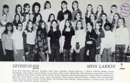 Steinmetz HS Division 632 - 1973 Yearbook