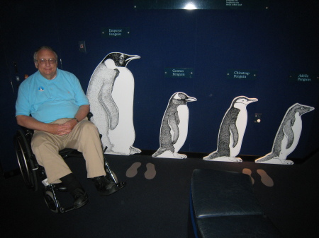 Me and penguin exhibit, NZ