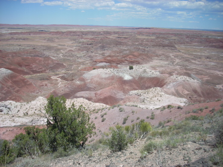 The Painted Desert