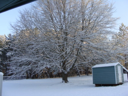 Our Feb and March snow