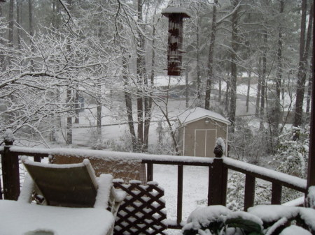 Winter of 2008 in Alabama