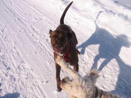 Lacey and PupPup