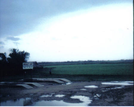 ricefield after rain