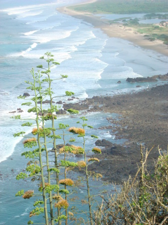 Ecuadorian coast