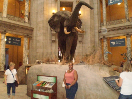 WASHINGTON MUSEUM OF NATURAL HISTORY