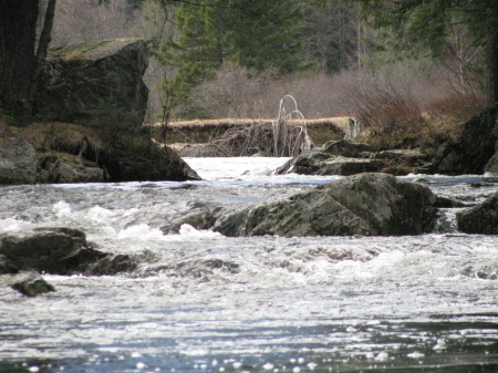 north  branch  palm sunday 4-06-09 009