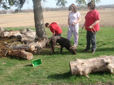 Even the dog got in on the egg hunt!