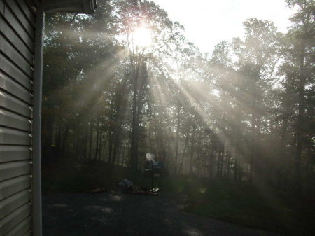 Our driveway and yard with the sun shining!