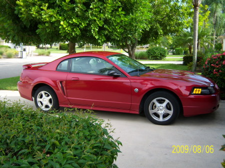 My Ride  2004 Mustang