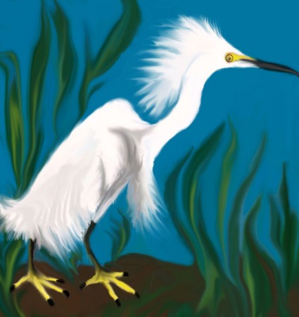 "Snowy Egret"