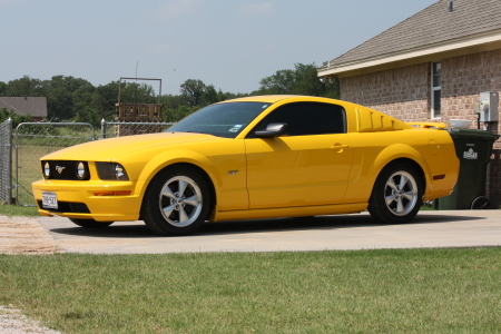 05 Stang