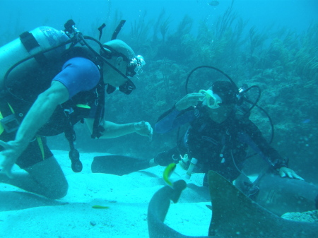 SCUBA diving in Belize 2009