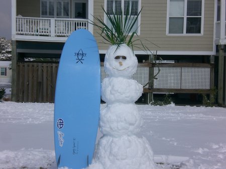 SNOW SURFER