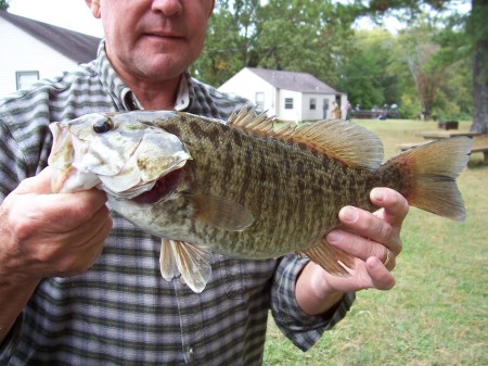 Wheeler Dam smallmouth