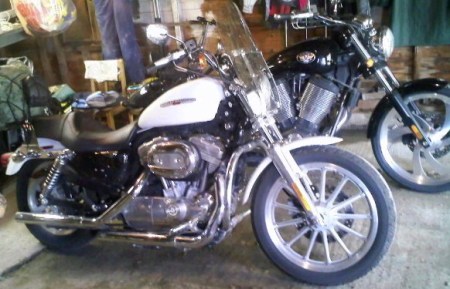 My 2007 Harley Sportster Low White gold pearl