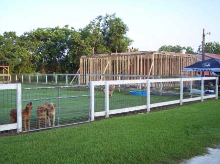 Kennel facility more framing