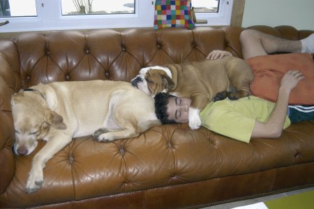 emailJonathan & dogs0828 (2)