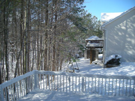 View of Woods from Upper Deck