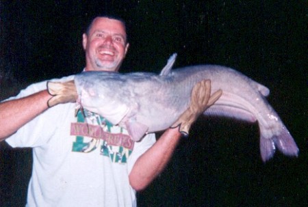 James River bluecat