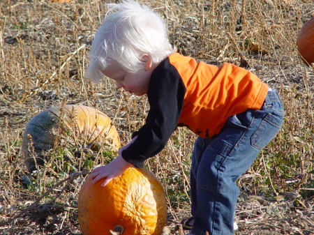 This one is mushy! The pumpkin patch froze.