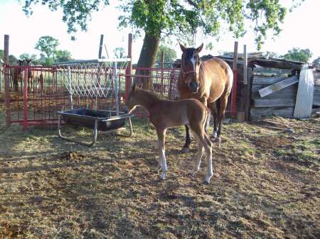 Tilly and Tex