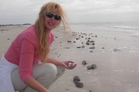 me on Treasure Island, FL