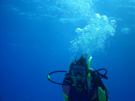 Diving Cozumel - Paradise Reef