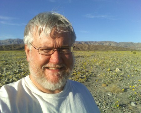 Viewing wildflowers at Death Valley